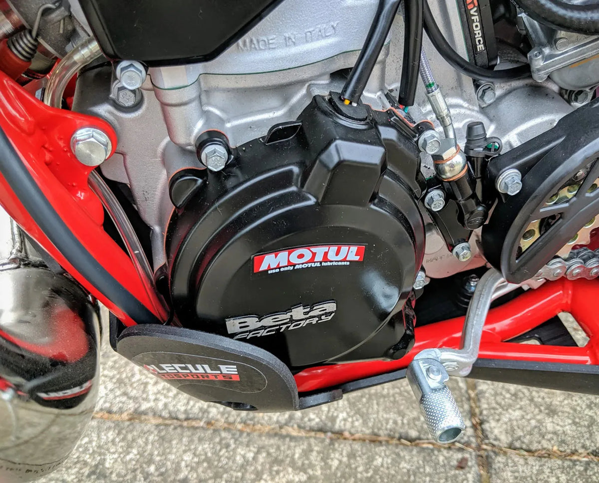 מיגון גחון Molecule ל-Beta 250/300 RR 2T (2018-2019)