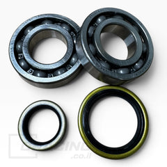 CRANKSHAFT BEARING & SEAL KIT BETA 250\300
